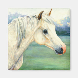 Imã Ímã árabe do cavalo