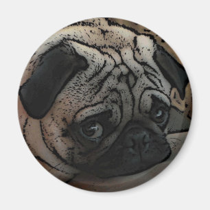 Imã Ímã artístico do pug bonito