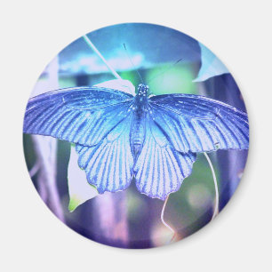 Imã Ímã azul da borboleta