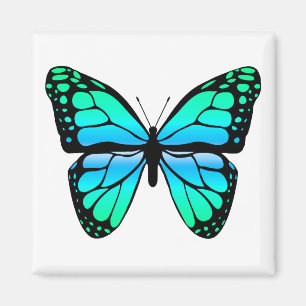 Imã Ímã azul da borboleta