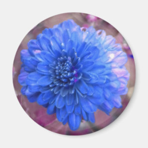 Imã Ímã azul da mãe