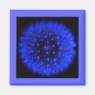 Imã Ímã azul do design do sopro do dente-de-leão