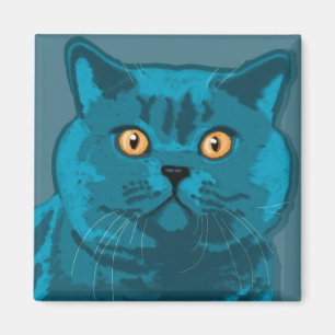 Imã Ímã azul do gatinho