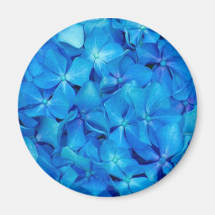 Imã Ímã azul do Hydrangea
