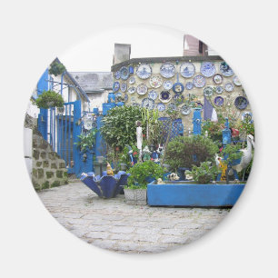 Imã Ímã azul do Special da placa