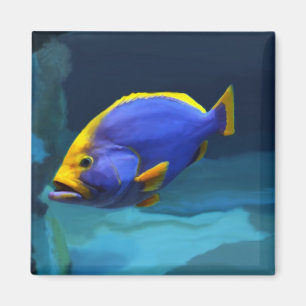 Imã Ímã azul dos peixes