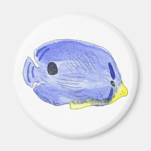 Imã Ímã azul pequeno dos peixes