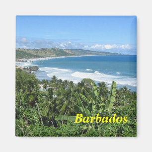 Imã ímã Barbados
