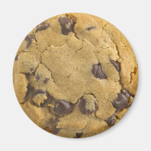 Imã Ímã-Biscoito da amostra