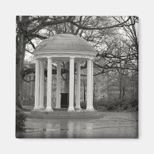 Imã Ímã bom velho de UNC