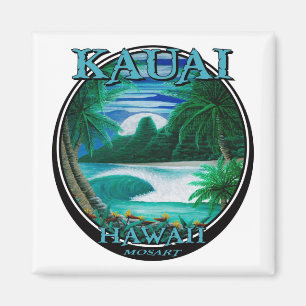 Imã Ímã bonito de kauai Havaí