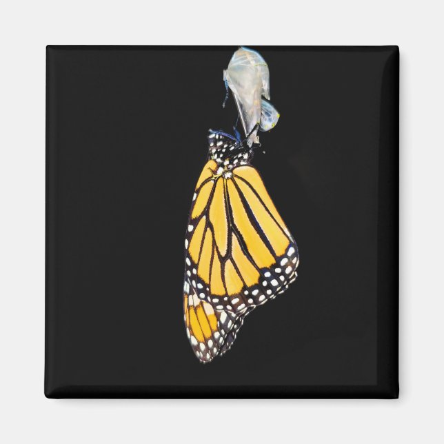 Imã Ímã - Borboleta Monarca (2022) (Frente)
