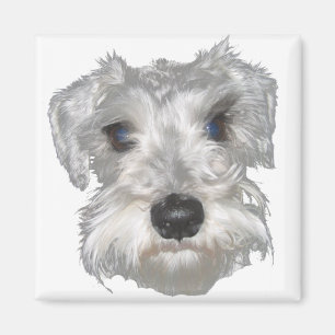 Imã Ímã branco do Schnauzer diminuto