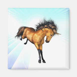 Imã Ímã Bucking do unicórnio