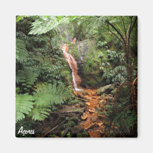 Imã Ímã Caldeira Velha de Açores