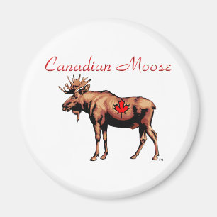 Imã Ímã canadense dos alces