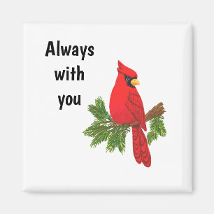 Imã ímã cardeal, sempre com você, pássaro, simpatia