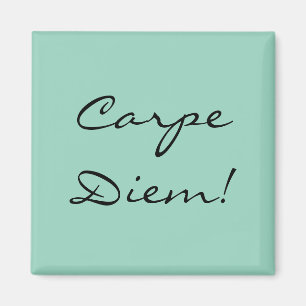 Imã ímã Carpe Diem