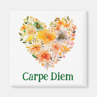 Imã Ímã carpe diem