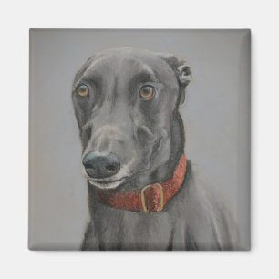 Imã Ímã cinzento da arte do cão do galgo
