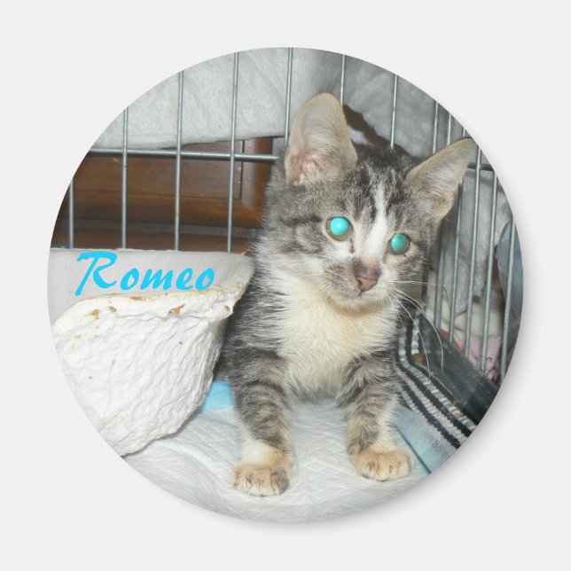 Imã ímã circular romeo (Frente)