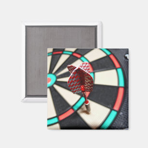 Imã Ímã colorido do Dartboard