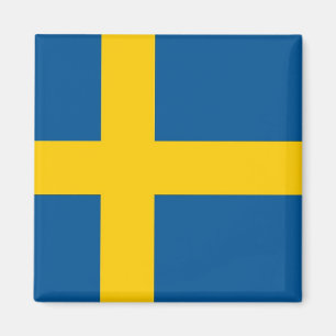 Imã Ímã com a bandeira da suecia