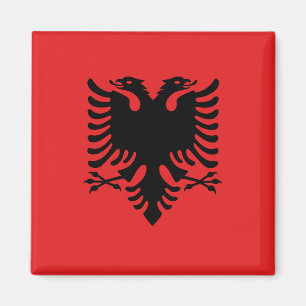 Imã Ímã com a bandeira de Albânia