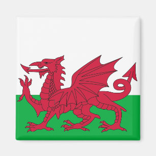 Imã Ímã com a bandeira de Wales