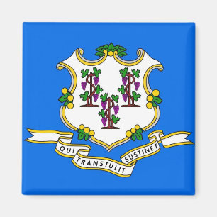 Imã Ímã com a bandeira do estado de Connecticut - EU