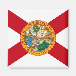 Imã Ímã com a bandeira do estado de Florida - EUA