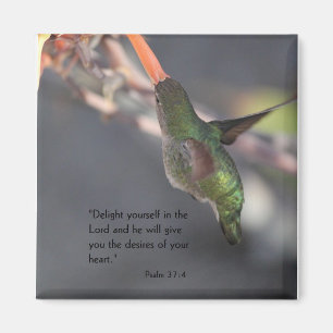 Imã ímã com colibri - deleite no senhor