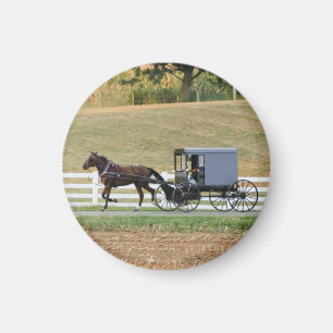 Imã Ímã com erros da carruagem de Amish