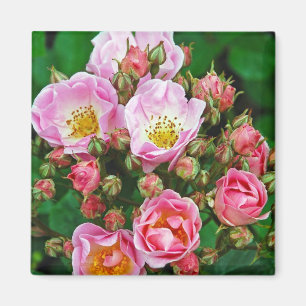 Imã Ímã com estampa de rosas cor-de-rosa