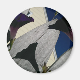 Imã Ímã com flores