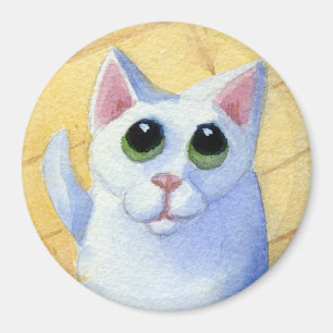 Imã Ímã com fome do gato
