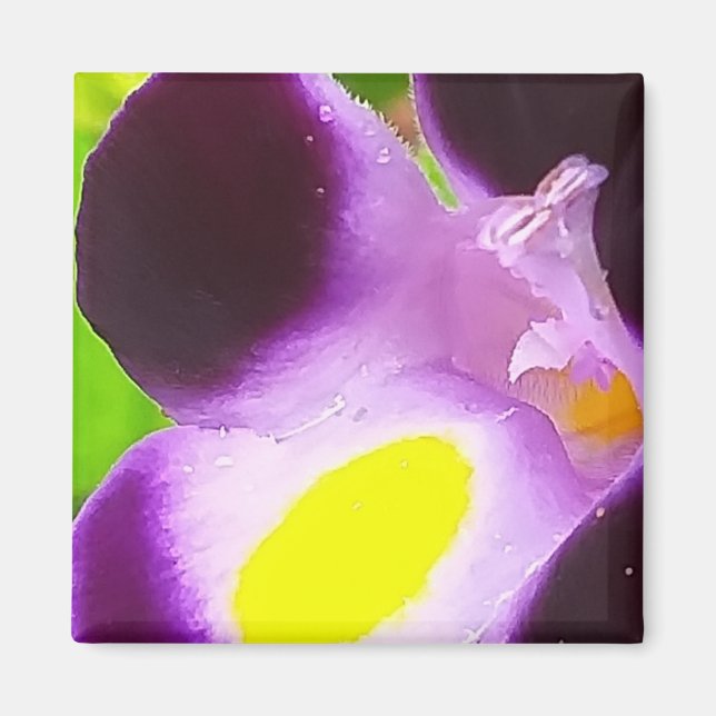 Imã Ímã com uma flor natural (Frente)