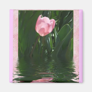 Imã Ímã cor-de-rosa bonito da tulipa