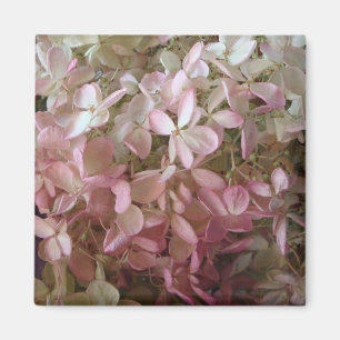 Imã Ímã cor-de-rosa bonito do Hydrangea