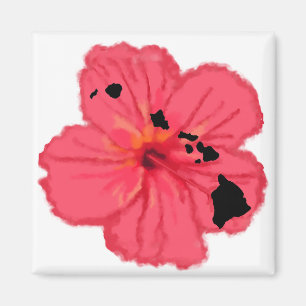 Imã Ímã cor-de-rosa das ilhas de w Hawn do hibiscus