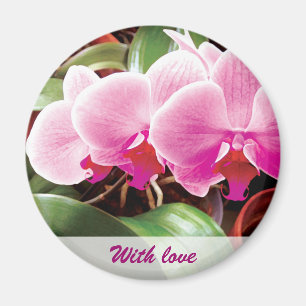 Imã Ímã cor-de-rosa das orquídeas
