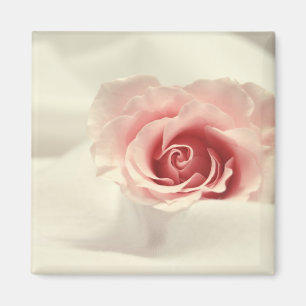 Imã Ímã cor-de-rosa delicado