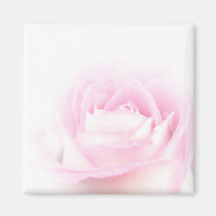 Imã Ímã cor-de-rosa macio