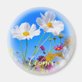 Imã Ímã Cosmos