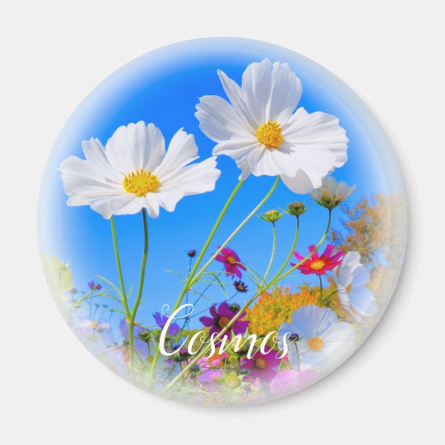 Imã Ímã Cosmos (Frente)