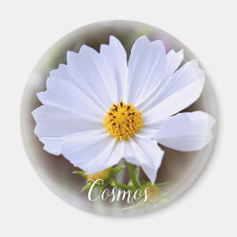 Imã Ímã Cosmos