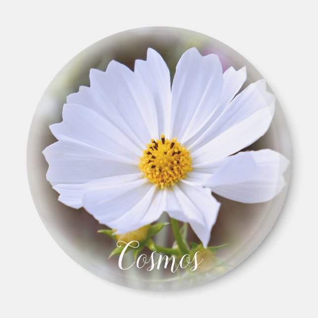 Imã Ímã Cosmos (Frente)