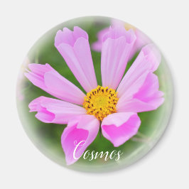 Imã Ímã Cosmos