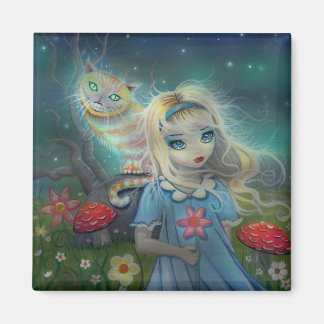 Imã Ímã da Alice no País das Maravilhas