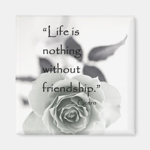 Imã Ímã da amizade